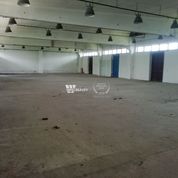 Obchodné priestory 245 m² , Kompletná rekonštrukcia