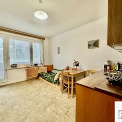 ‼️✳️ Na predaj garsónový byt s balkónom, Žilina - Hliny, Hečkova ulica, LEN V R2 SK! ✳️