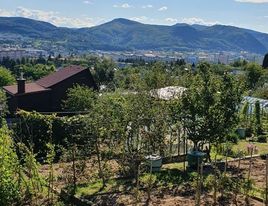 Predaj záhradnej chatky v záhradkárskej osade na Zlatom Potoku vo Zvolene