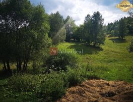 PREDAJ: pozemok na rekreačné účely - Ružomberok - Trlenská dolina