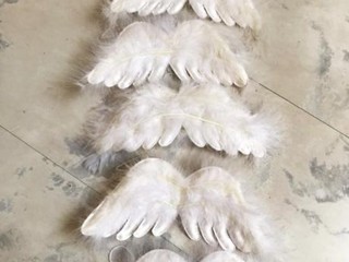 Anjelské krídla z páperia 5ks