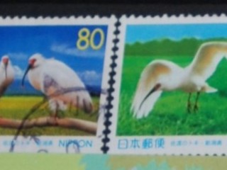 Poštové známky - Vtáčia ríša 179