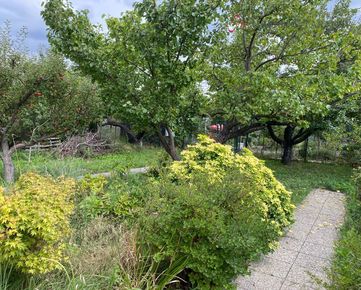 Prenájom záhrady s domčekom na Bojníckej ulici - začiatok lokality Žabí majer