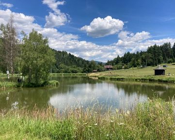 Rekreačný pozemok v krásnom prostredí, 5007 m2, Spišské Vlachy, Zahura