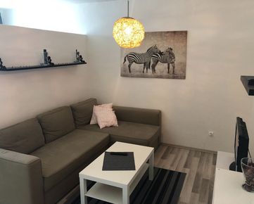 PRENÁJOM, veľký 1 izbový byt so samostatnou kuchyňou na Čiližskej ulici, Bratislava - Vrakuňa