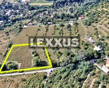 LEXXUS-PREDAJ pozemok - vinice vo Vinohradoch BA Nové Mesto