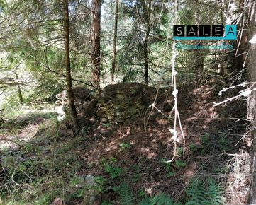 Lesný pozemok o celovej rozlohe 4356 m2 v obci Smolník