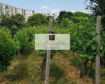 Predaj záhrada s vinohradom, Nitra - Šúdol.
