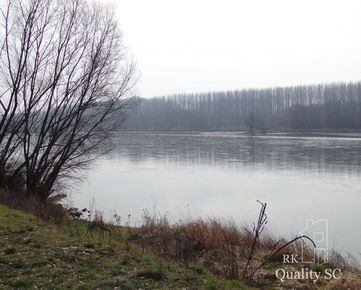 GABČÍVOVO - NA PREDAJ ZIMNÁ CENA ! rekreačný a lesný pozemok v panenskej prírode pri starom koryte Dunaja starý prístav okr. Dunajská Streda