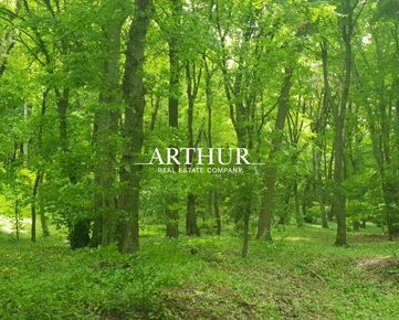 ARTHUR - Lesný pozemok v Devínskej Novej Vsi o výmere 543 m2