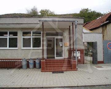 Štýlovo prerobený dom na bývanie a  budova na podnikanie   v podhorskej obci Šípkov na predaj