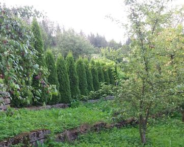 Záhradná chata v Trstenej