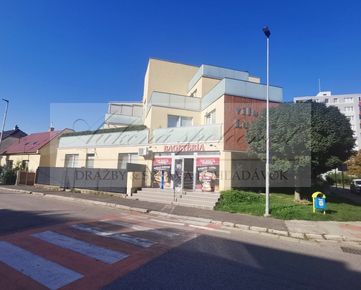 Dražba dvoch prepojených bytov s dvomi garážovými státiami v Mestskej vile LUJZA v Bratislave-Vrakuni!