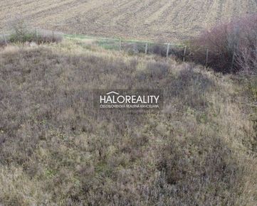  HALO reality - Predaj, pozemok pre rodinný dom   3282m2 Veľké Úľany, Nové Osady