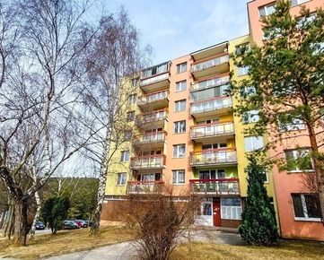 IBA U NÁS! 3 izbový byt na ulici L. Novomeského, Trenčín 