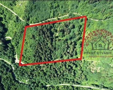 NEPREHLIADNITE: predaj lesný pozemok za výbornú cenu,super investícia v Podbrezovej 