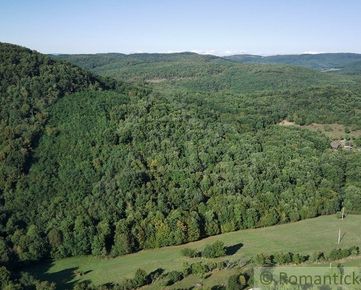 Lesný pozemok s rozlohou vyše 5,5 ha v súkromnom vlastníctve - Hrušov