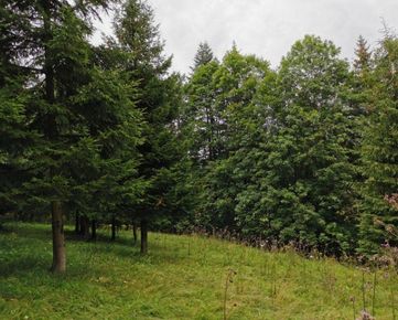 DOM-REALÍT ponúka na predaj lesný pozemok v obci Makov