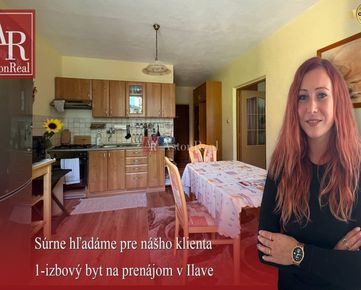 Hľadám pre klienta 1-izbový byt na prenájom v Ilave