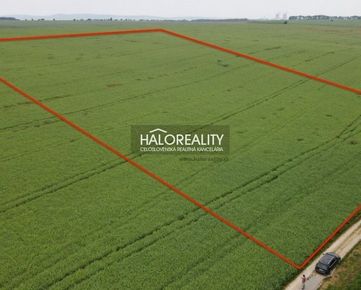  HALO reality - Predaj, orná pôda 5156 m2 Dechtice - EXKLUZÍVNE HALO REALITY