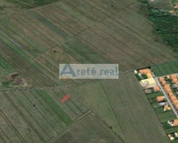 Areté real - Predaj pozemku - obrábaného vinohradu v Pezinku